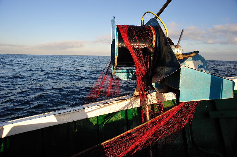 Fileyeur St Jean de Luz ab9.JPG